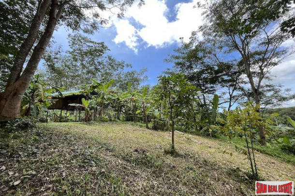 Over 3 Rai Land Plot with Rubber Plantation and Creek for Sale in Thalang-5