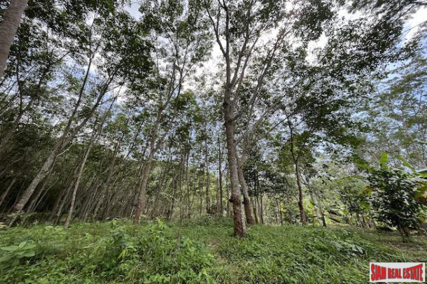 Over 3 Rai Land Plot with Rubber Plantation and Creek for Sale in Thalang-6
