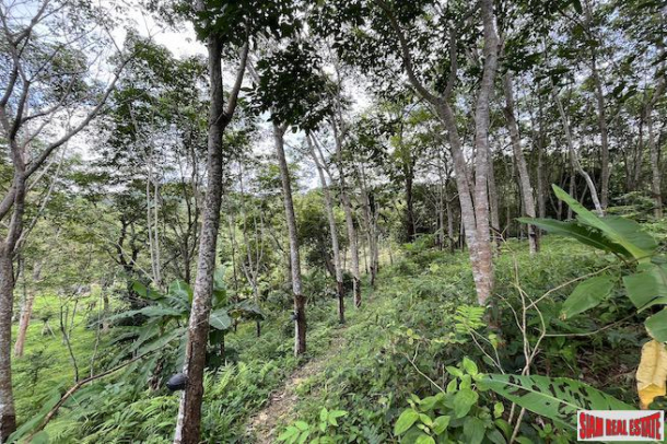 Over 3 Rai Land Plot with Rubber Plantation and Creek for Sale in Thalang-7
