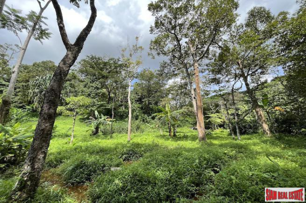 Over 3 Rai Land Plot with Rubber Plantation and Creek for Sale in Thalang-8