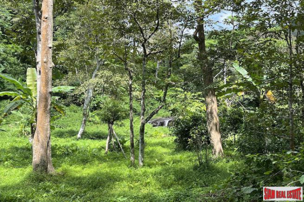 Over 3 Rai Land Plot with Rubber Plantation and Creek for Sale in Thalang-9
