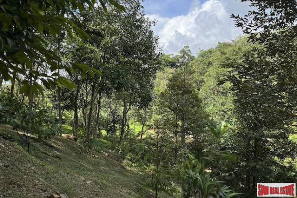 Peaceful 2 Rai, 3 Nga Land Plot with Small Waterfall for Sale in Thalang-12
