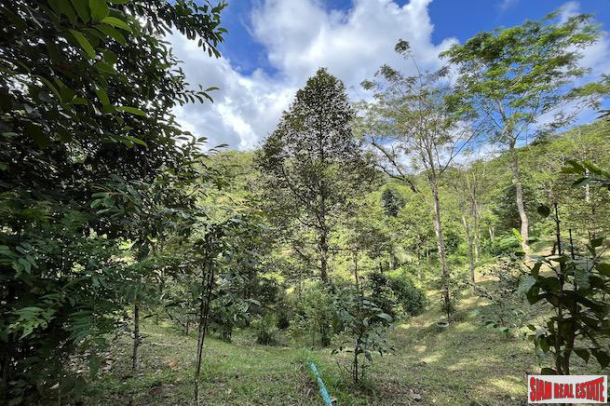 Peaceful 2 Rai, 3 Nga Land Plot with Small Waterfall for Sale in Thalang-13