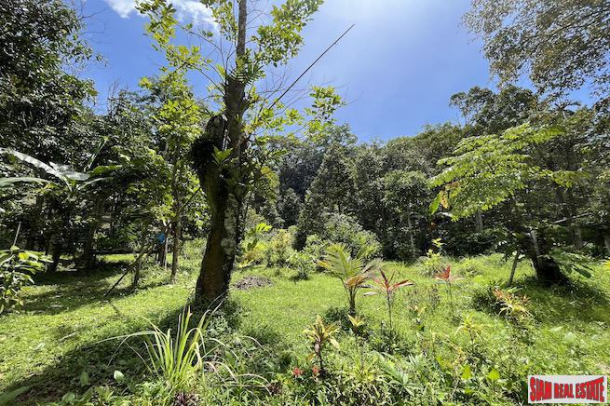 Peaceful 2 Rai, 3 Nga Land Plot with Small Waterfall for Sale in Thalang-7