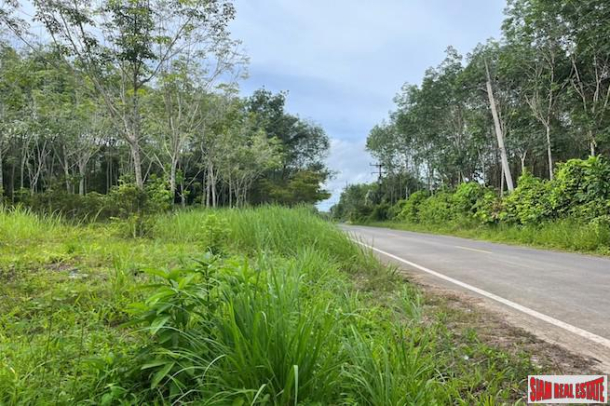 16 Rai of Land for Sale with Sloping Rubber Plantation and Close to Main Road - Phang Nga-10