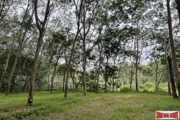 16 Rai of Land for Sale with Sloping Rubber Plantation and Close to Main Road - Phang Nga-2