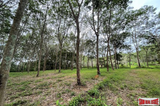 16 Rai of Land for Sale with Sloping Rubber Plantation and Close to Main Road - Phang Nga-4