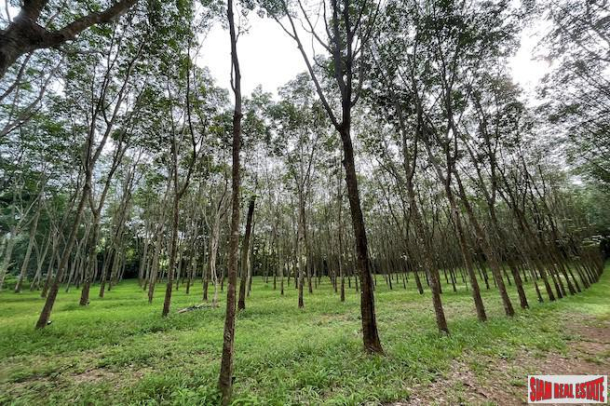 16 Rai of Land for Sale with Sloping Rubber Plantation and Close to Main Road - Phang Nga-5