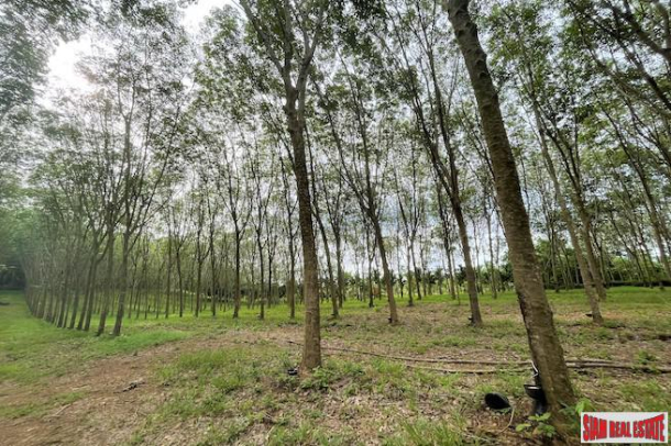 16 Rai of Land for Sale with Sloping Rubber Plantation and Close to Main Road - Phang Nga-6