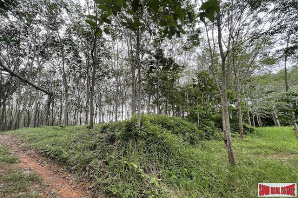 16 Rai of Land for Sale with Sloping Rubber Plantation and Close to Main Road - Phang Nga-7