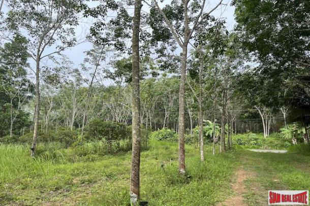16 Rai of Land for Sale with Sloping Rubber Plantation and Close to Main Road - Phang Nga-8