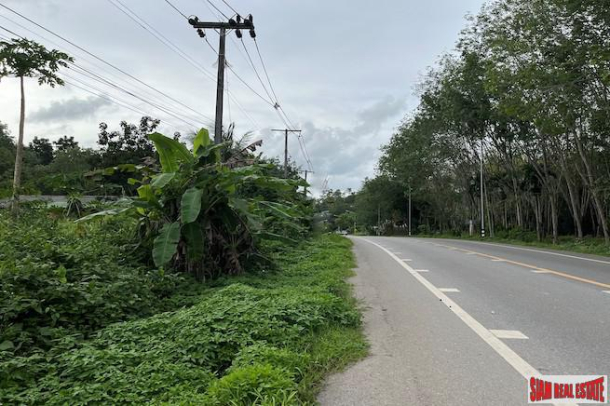 9  Rai Land Plot Near Main Road for Sale in Takua Tung, Phang Nga - Great Investment Property-3