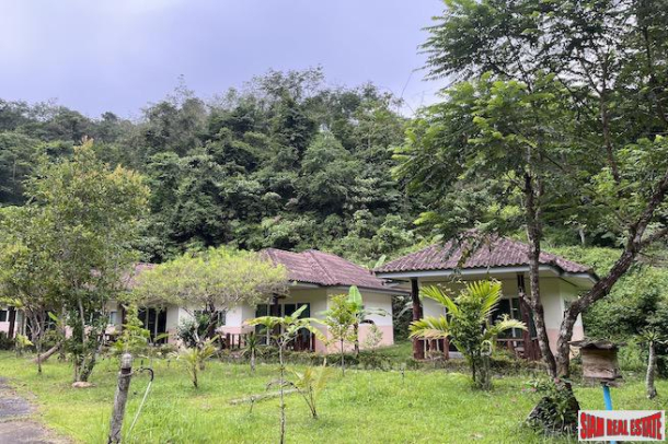 Small Resort for Sale Near Stream and Popular Rafting Area in Phang Nga-12