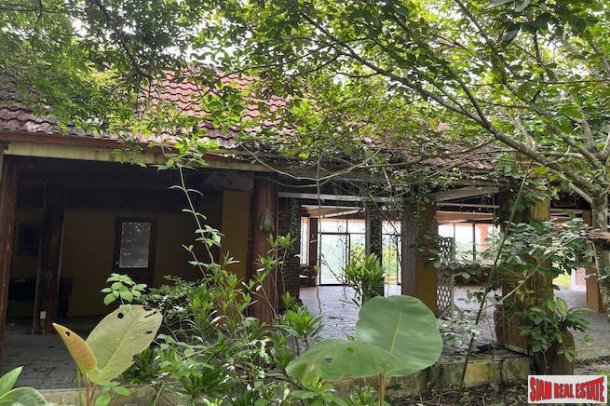 Five Rai Land Plot with Organic Farm and Small Thai Style House for Sale in Ao Nang, Krabi-16