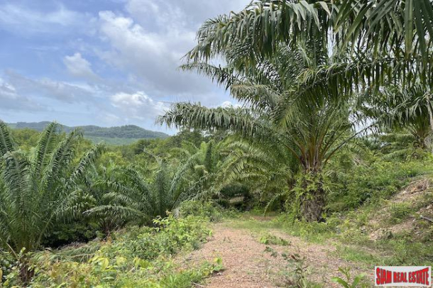 Five Rai Land Plot with Organic Farm and Small Thai Style House for Sale in Ao Nang, Krabi-20