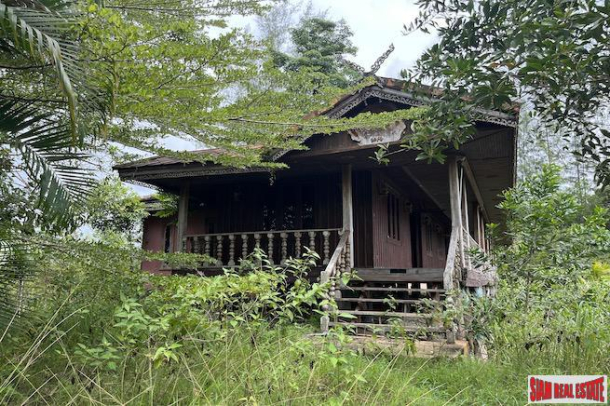 Five Rai Land Plot with Organic Farm and Small Thai Style House for Sale in Ao Nang, Krabi-21