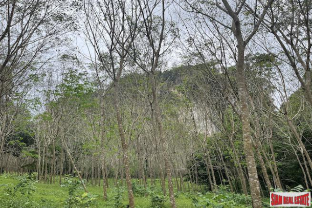 Mountain Views and Rubber Trees on this 3+ Rai Land for Sale in Nong Thaley, Krabi-5