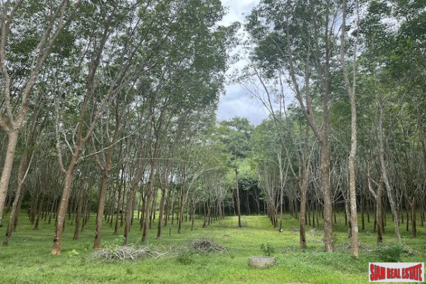 2 Rai Rubber Plantation with Nice Mountain Views for Sale in Ao Nang, Krabi-1