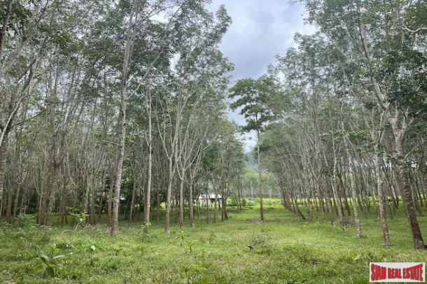 2 Rai Rubber Plantation with Nice Mountain Views for Sale in Ao Nang, Krabi-3