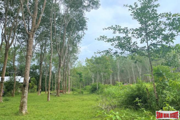 2 Rai Rubber Plantation with Nice Mountain Views for Sale in Ao Nang, Krabi-5