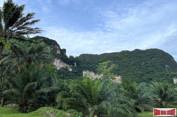 9 Rai Land Plot with Stunning Mountain Views for Sale in Nong Thaley, Krabi-11
