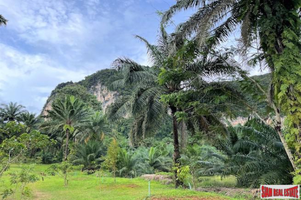 9 Rai Land Plot with Stunning Mountain Views for Sale in Nong Thaley, Krabi-12