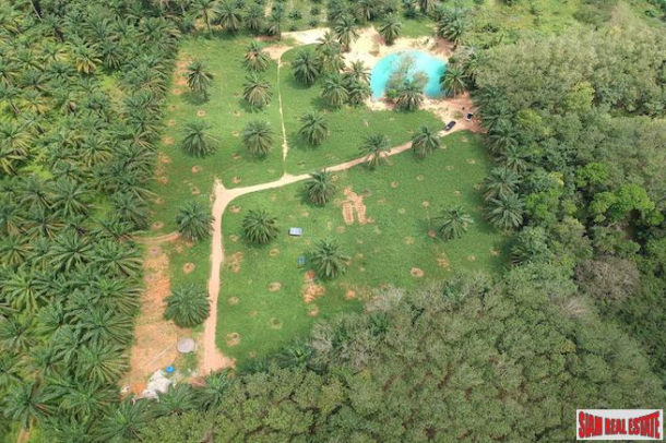 9 Rai Land Plot with Stunning Mountain Views for Sale in Nong Thaley, Krabi-13