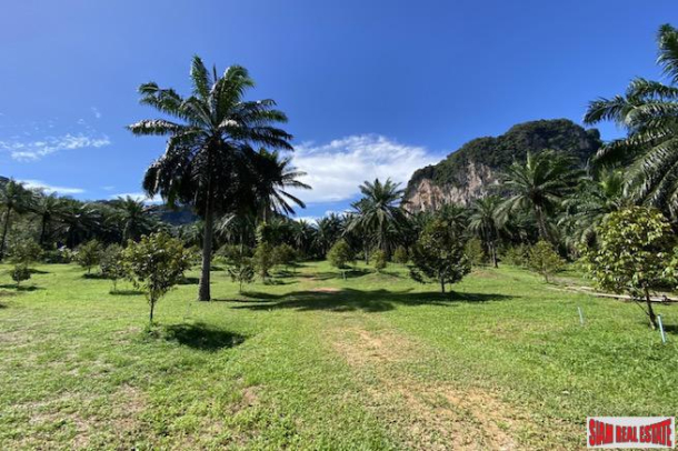 9 Rai Land Plot with Stunning Mountain Views for Sale in Nong Thaley, Krabi-6