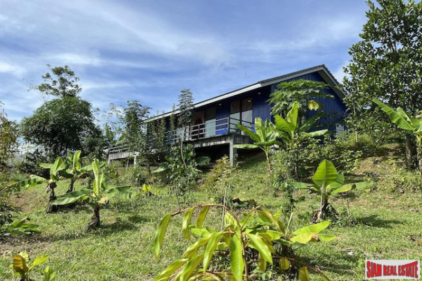 Charming Two Bedroom House Built on 2 Rai of Land for Sale in Takua Tung-3