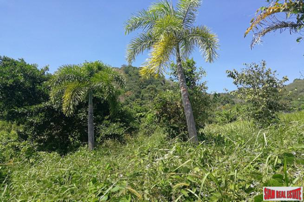 Sea View Land Plot of 10.5 Rai for Sale in Layan-11