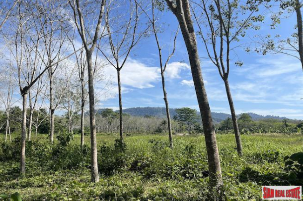 Almost 11 Rai of Rubber Plantation for Sale in Takua Tung, Phang Nga-1