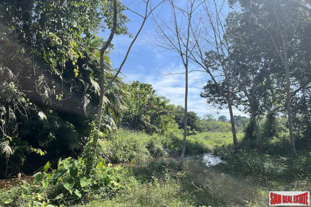 Almost 11 Rai of Rubber Plantation for Sale in Takua Tung, Phang Nga-10