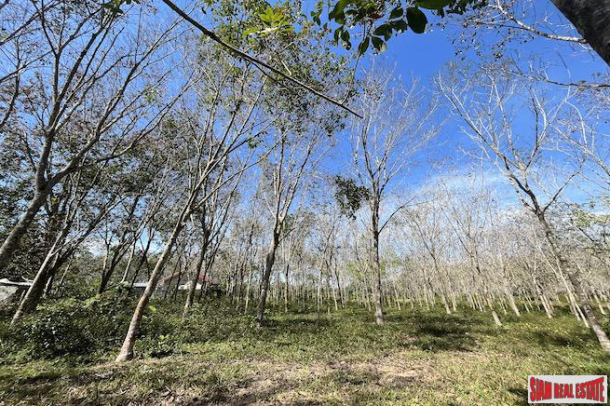 Almost 11 Rai of Rubber Plantation for Sale in Takua Tung, Phang Nga-3