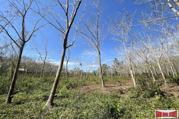 Almost 11 Rai of Rubber Plantation for Sale in Takua Tung, Phang Nga-5