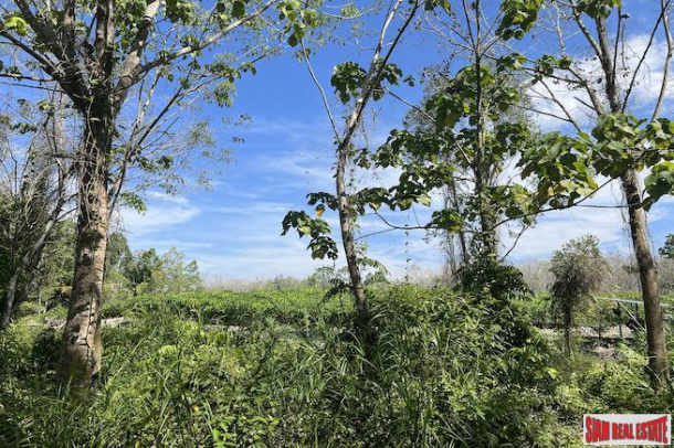 Almost 11 Rai of Rubber Plantation for Sale in Takua Tung, Phang Nga-7