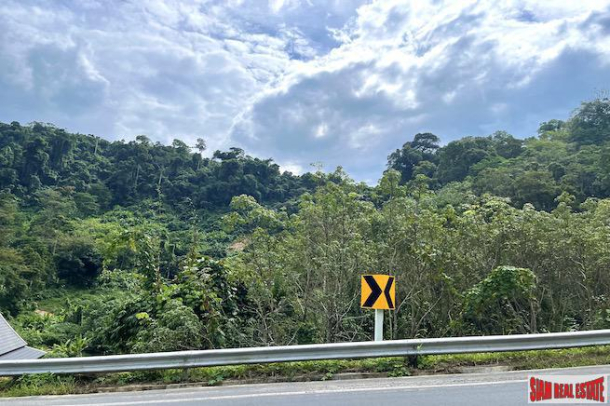 6+ Rai of Land for Sale in the Lush Tropical area of Sakhu, Phuket-8