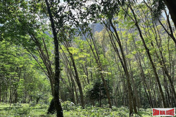 Large 12 Rai Land Plot with Rubber Trees and Mountain Views for Sale in Khao Khram, Krabi-2