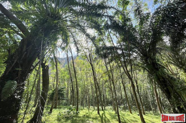 Large 12 Rai Land Plot with Rubber Trees and Mountain Views for Sale in Khao Khram, Krabi-3