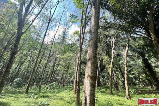 Large 12 Rai Land Plot with Rubber Trees and Mountain Views for Sale in Khao Khram, Krabi-4