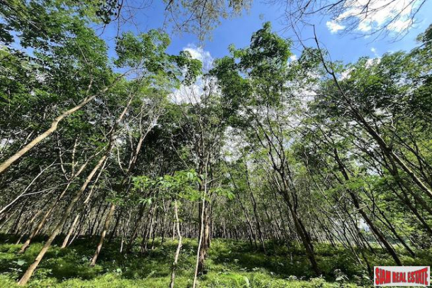 Large 12 Rai Land Plot with Rubber Trees and Mountain Views for Sale in Khao Khram, Krabi-7