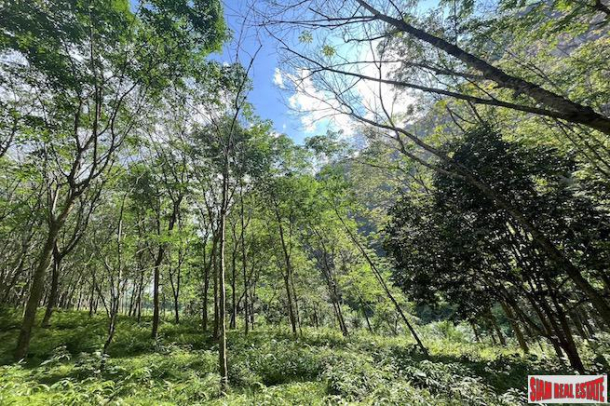 Large 12 Rai Land Plot with Rubber Trees and Mountain Views for Sale in Khao Khram, Krabi-8