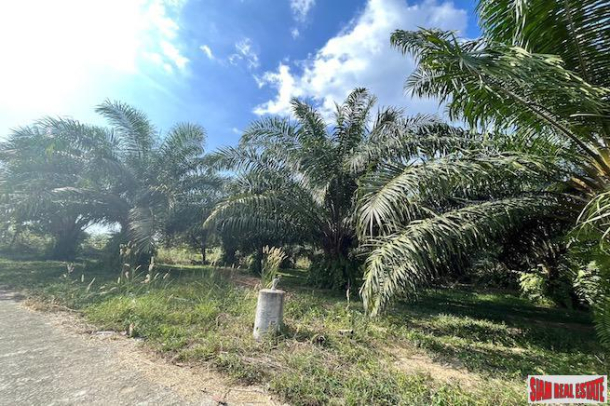 Over 4 Rai of Palm Plantations for Sale Near Natai Beach, Phang Nga - Excellent Investment Property-5