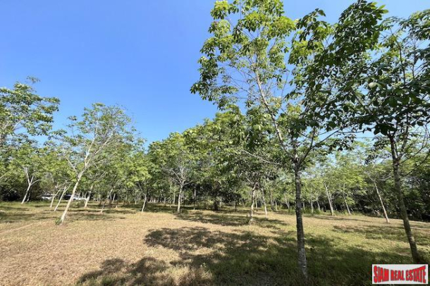 Lush Peaceful 9-2-89 Rai Land for Sale in Na Toei, Phang Nga-5