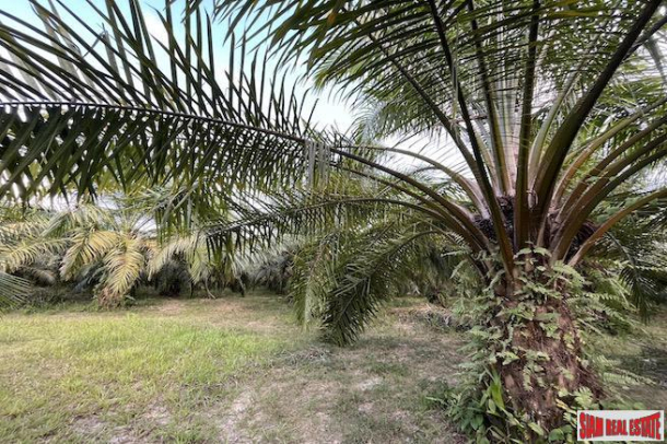 18 Rai Palm Plantation with Nice Mountain Views for Sale in Takua Thung, Phang Nga-8