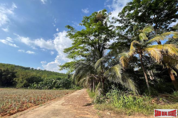 6 Rai Land Plot with Fruit Orchards for Sale in Takua Thung, Phang Nga-3