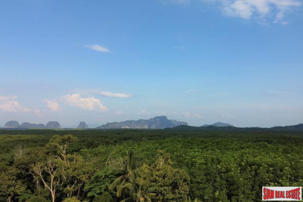 6 Rai Land Plot with Fruit Orchards for Sale in Takua Thung, Phang Nga-4