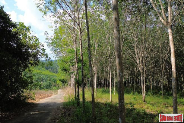 Nice 18+ Rai Land Plot with a Rubber Plantation for Sale in Takua Thung, Phang Nga-6