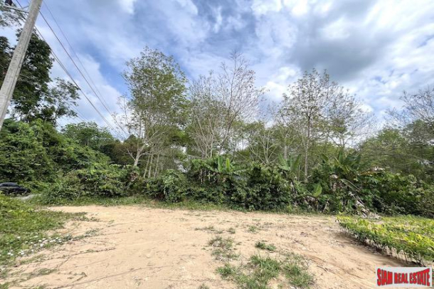 A 12 Rai Land Plot for Sale in a Quiet and Accessible Area of Khok Kloi, Phang Nga-5