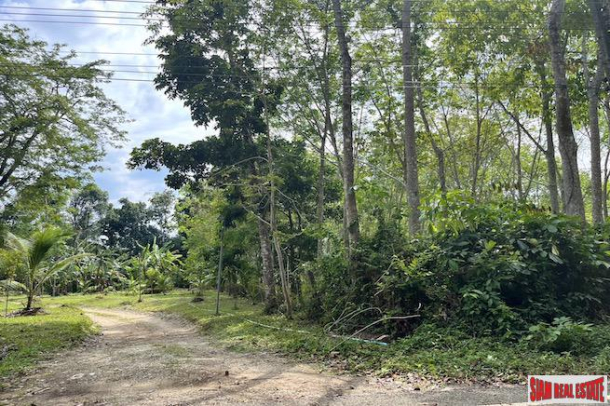 A 12 Rai Land Plot for Sale in a Quiet and Accessible Area of Khok Kloi, Phang Nga-6