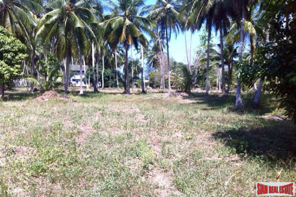 Large Land Plot only  300m to the Beach for Sale in Taling Ngam, Samui-10